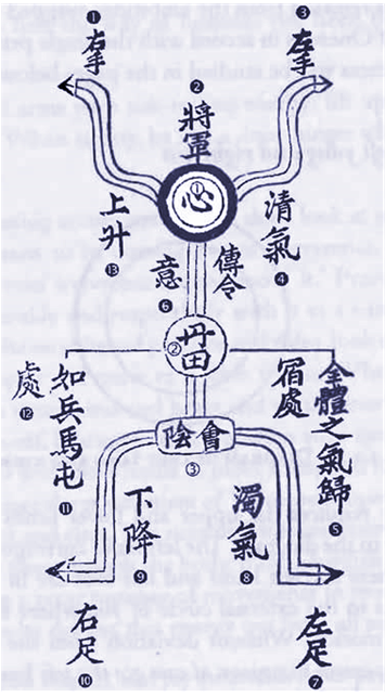 diagramm zum mechanismus wie qi durch unseren koerper fliesst